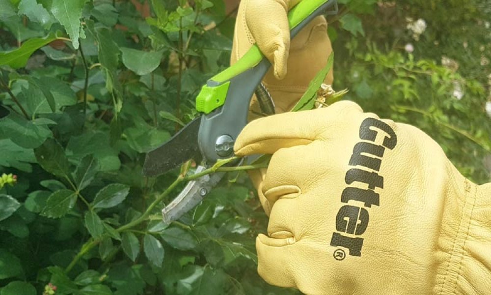 Best Gloves for Pruning Roses